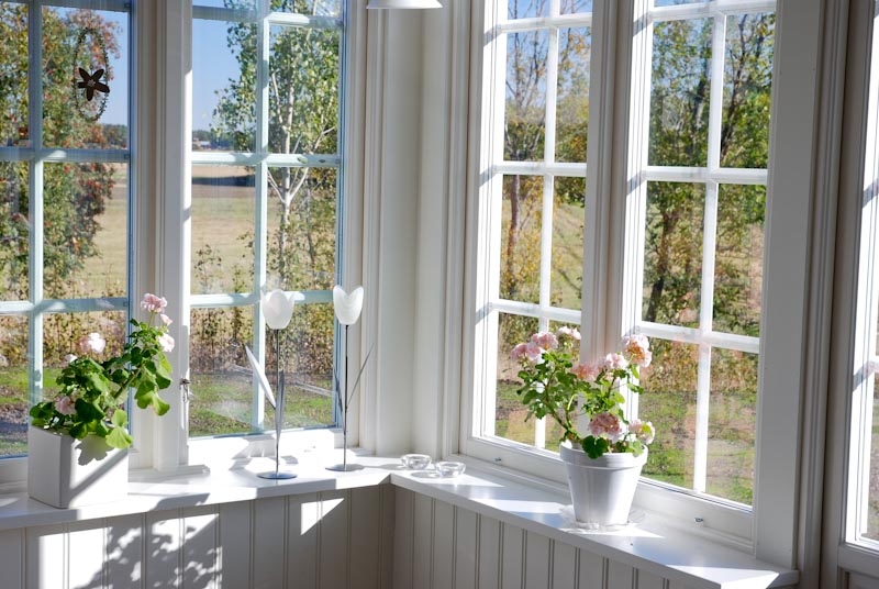 Ett ljust och charmigt uterum med stora vita spröjsade 3-glasfönster som släpper in mycket dagsljus. På fönsterbrädorna står krukor med rosa pelargoner samt vita ljusstakar formade som tulpaner. Utsikten genom fönstren visar en höstlik trädgård med träd och öppna fält i bakgrunden. Interiören präglas av vitmålad träpanel och ljus, luftig känsla.