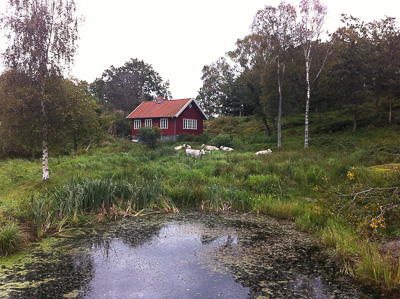 I landskapet syns huset med fönster som ger små ljuspunkter och visar glasytor i fasaden.