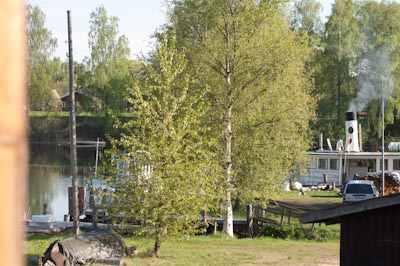 Grönskande vår- eller sommarkväll vid en sjö. I förgrunden syns björkar med ljusgröna löv och gräsbevuxen mark. I bakgrunden ligger vattnet spegelblankt med bryggor, en mindre båt och en ångbåt eller arbetsbåt med skorsten. Ljuset är mjukt och stämningen lugn och idyllisk.