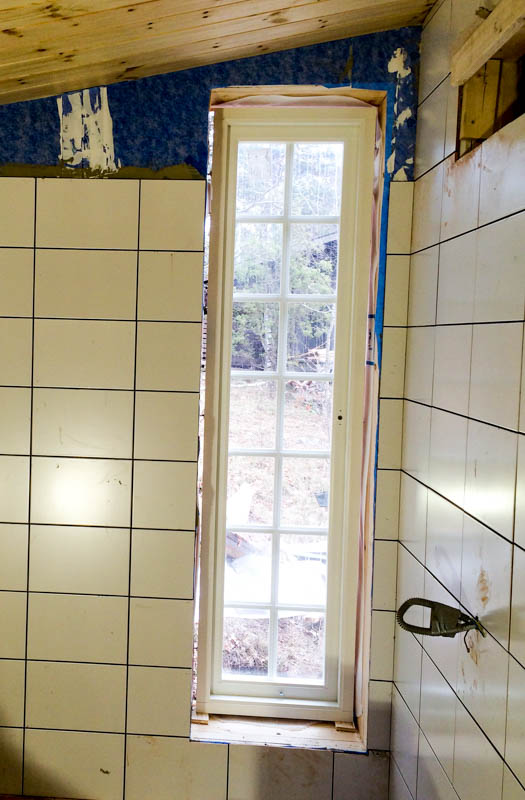 Smal, hög spröjsad glasruta i fönster/dörrparti som släpper in ljus och ger klassisk rutindelning.