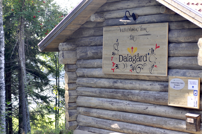 Timmerbyggnad med handmålad träskylt som välkomnar till Dalagård, dekorerad med traditionella mönster och placerad i skogsmiljö.